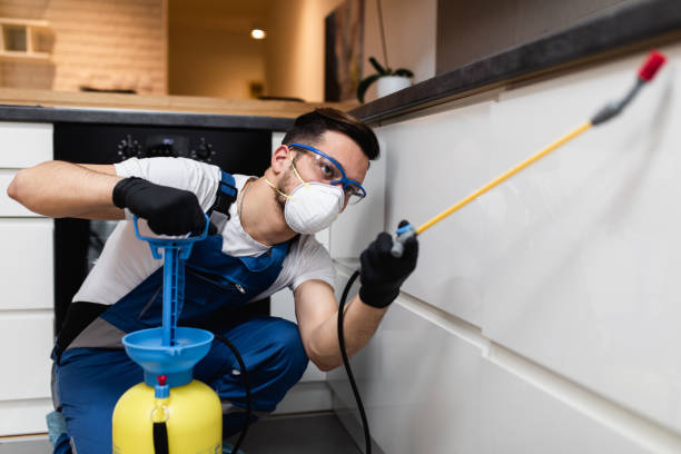 Best Emergency Pest Control  in Park City, KS